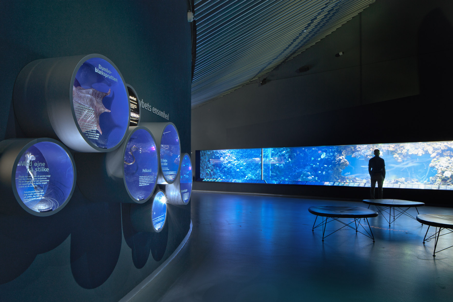 Blue Planet7