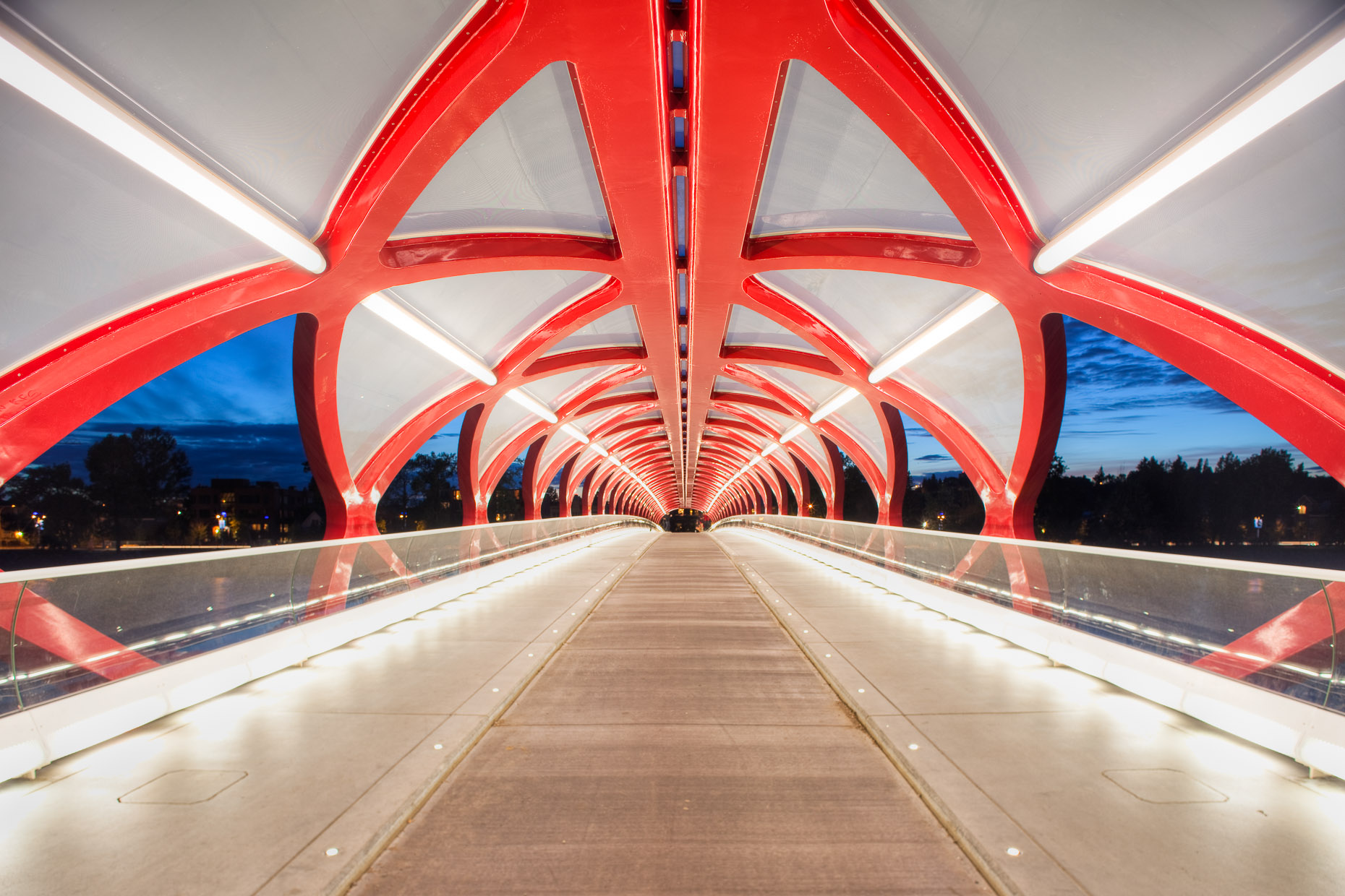 Calatrava Bridge2